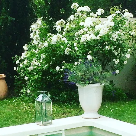 Villa Cezanne *